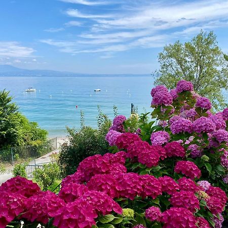 Front Lake Amazing View Manerba del Garda Luaran gambar