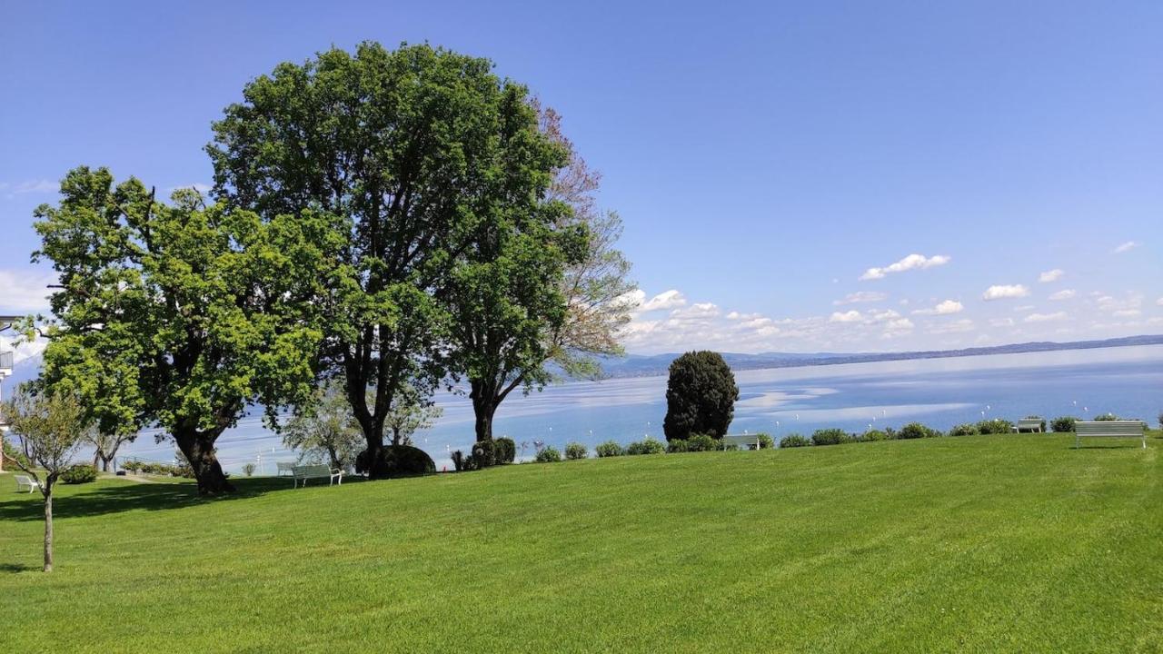 Front Lake Amazing View Manerba del Garda Luaran gambar